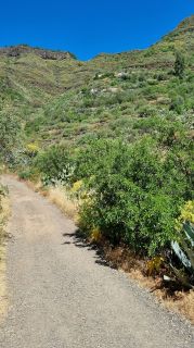 2023-04-GranCan-Guayadeque-052.jpg